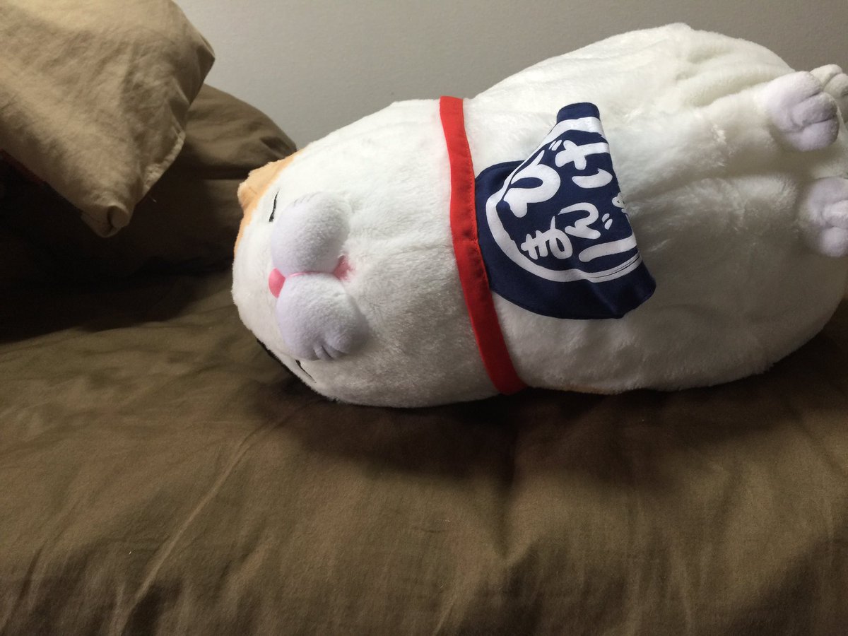 となりの坂田。＠浦島坂田船 on X