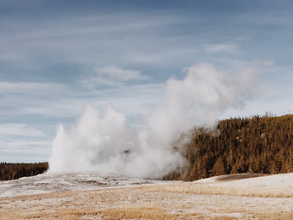 annie__bean's tweet photo. Few things on earth bring better peace than a Sunday drive through Yellowstone. 🌲 https://t.co/8NwFSjIZrB