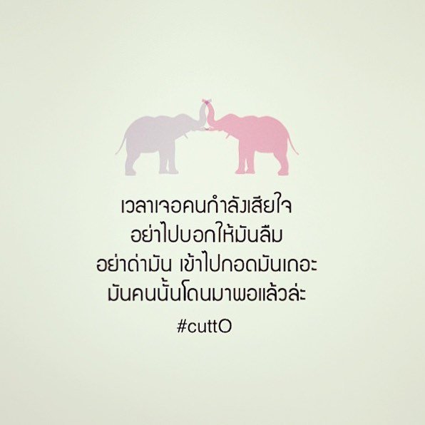 sandaymood's tweet photo. ฝากกอดผู้หญิงคนนี้ด้วยทั้งกายและคำพูด

#ขวัญ #cutto https://t.co/eJxWjZeWjX
