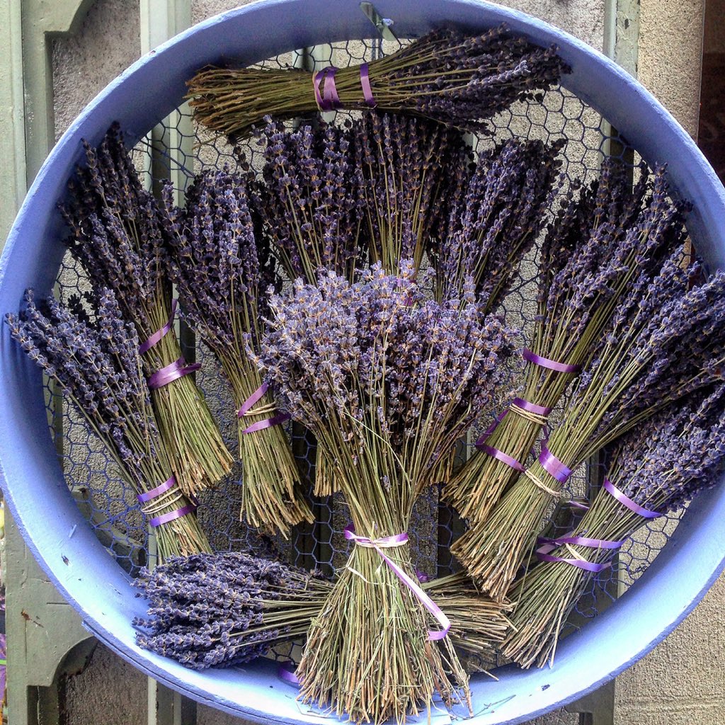 Only in Provence; always a joy to be in the sun-blessed south of #France #lavender #travel #lp