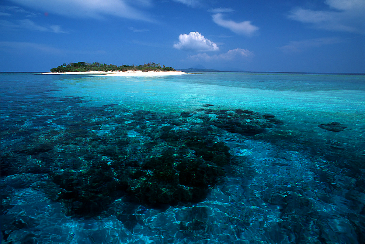 bandaislands's tweet photo. The Banda Islands have some of the most spectacular and resilient reefs in the Coral Triangle #conservation #marinebiology #saveourplanet https://t.co/vjt75EfQbT