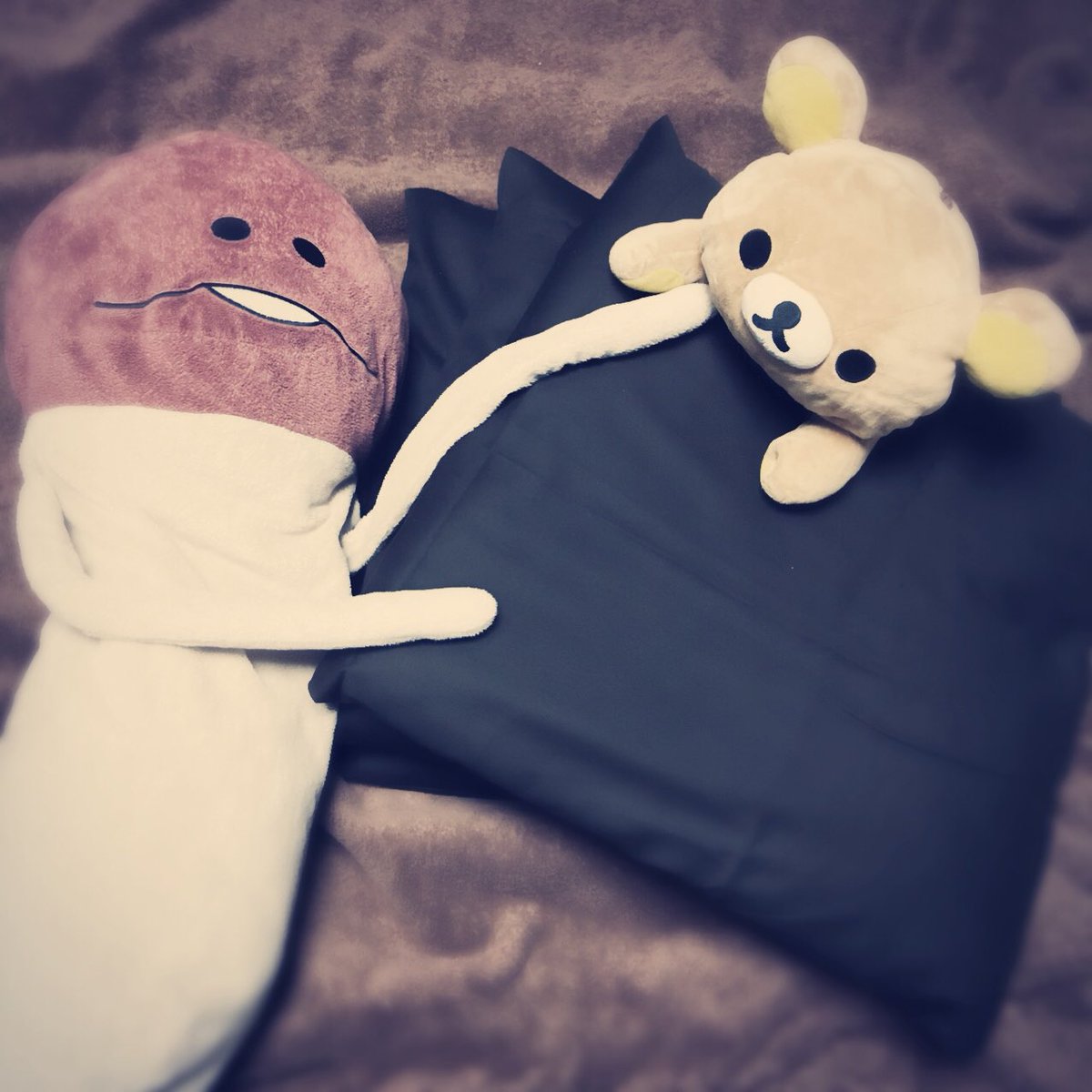 ザジ Mbhi Na Twitteru クッションというかほぼ座布団のカバー3個縫えたーヽ W ノシンプル極まりないのに1時間以上かかってる もっとすぐ出来るかと思ったなあ 布団乾燥機 にかけられていたぬいぐるみーずを添えて それにしても我が家 茶色ばっかりやな ザジ Mbhi Na Twitteru クッションというかほぼ座布団のカバー3個縫えたーヽ W ノシンプル極まりないのに1時間以上かかってる もっとすぐ出来るかと思ったなあ 布団乾燥機 にかけられていたぬいぐるみーずを添えて それにしても我が家 茶色ばっかりやな