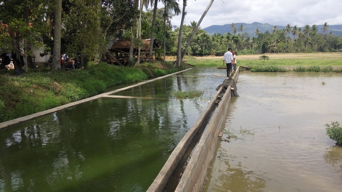 Karsunanda03's tweet photo. @pusluhdayakp @BudidayaKKP monitoring ke UPR,sosialisasi peningkatan produksi benih. https://t.co/vxgT3HXYtL