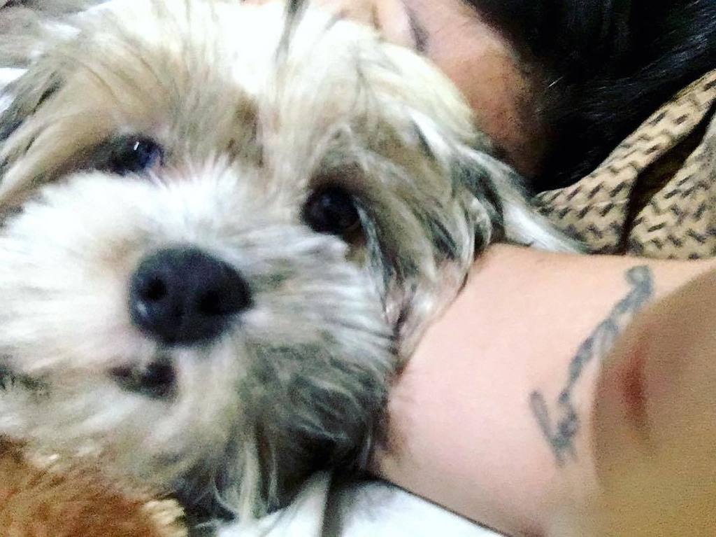 anditabinas's tweet photo. Best cure for migraine. #Ebonee https://t.co/HMe1Mda03N https://t.co/02xOqXdTtj