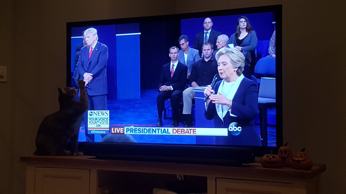 maryrosesteele6's tweet photo. Hey @realDonaldTrump this p**** is giving you a taste of your own medicine. Doesn't seem like you like it. @HillaryClinton https://t.co/glJtP6rywC