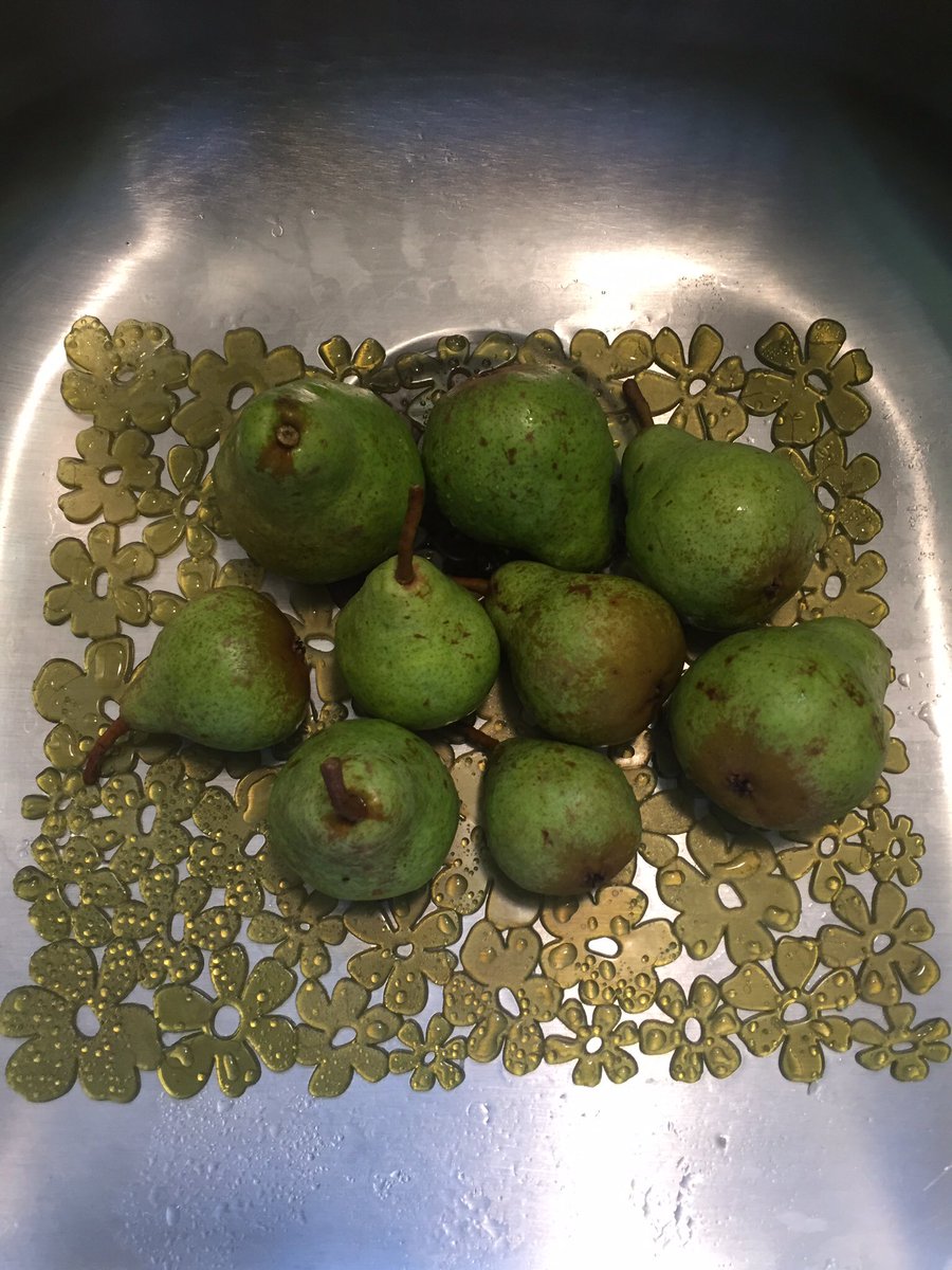 tanika_davis's tweet photo. @brokeymcpoverty These are the pears from my very own pear tree in my backyard. #ImAfricanAmerican #notinnercity #nothell https://t.co/DNXy6cX0Ak