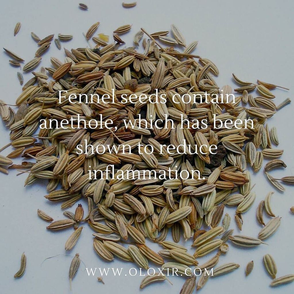 oloxir's tweet photo. Fennel seeds are also a natural way to freshen breath.

#homeremedy
#health
#alternativeme… https://t.co/D6caP54DSb https://t.co/ic02QWnrur