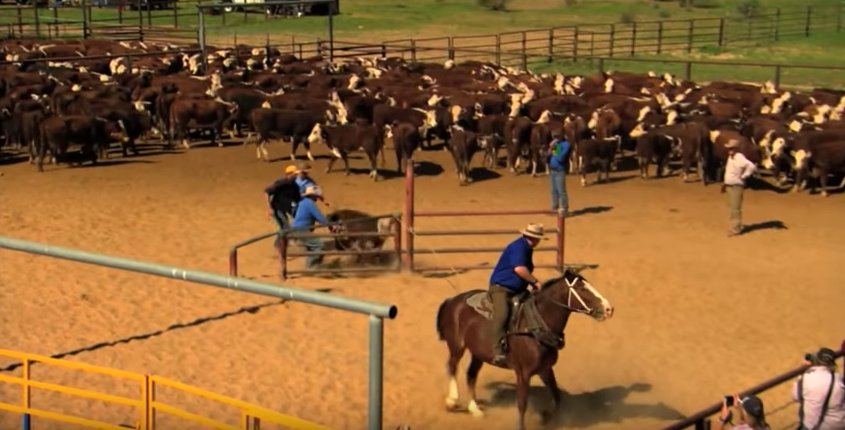 Want to discover outback Australia? Jen &amp; Clint from Australian TV show <a href="/pwgfriends/">Places We Go</a> show us the ropes bit.ly/2dCLehl #Australia