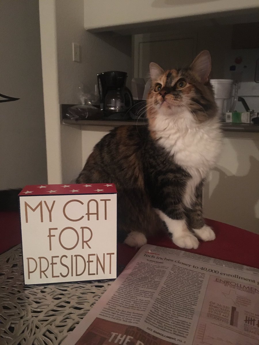 graceekat_'s tweet photo. In case you need another option... #Olive2016 #PresidentialElection https://t.co/RhAIPM4fLy