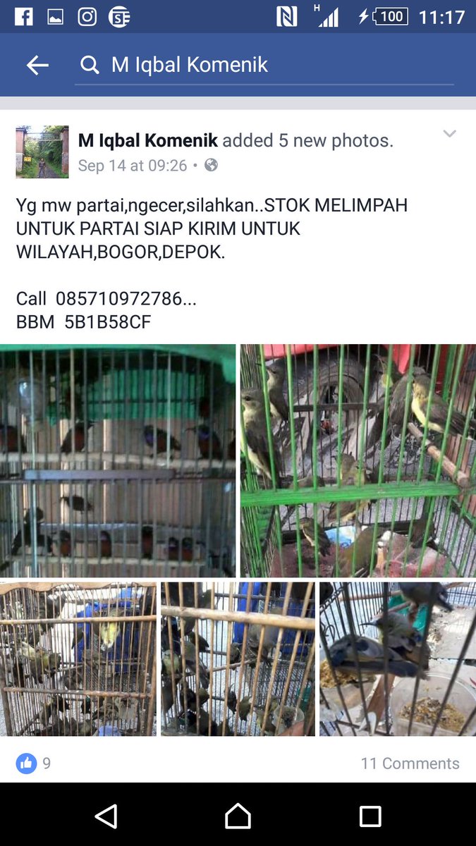 PTPN_13's tweet photo. @P3Mkotasmg @shafasmg @satpolpp_smg @LAPOR1708  apakah jual beli burung hutan Dilarang https://t.co/R4d8iVH4v1