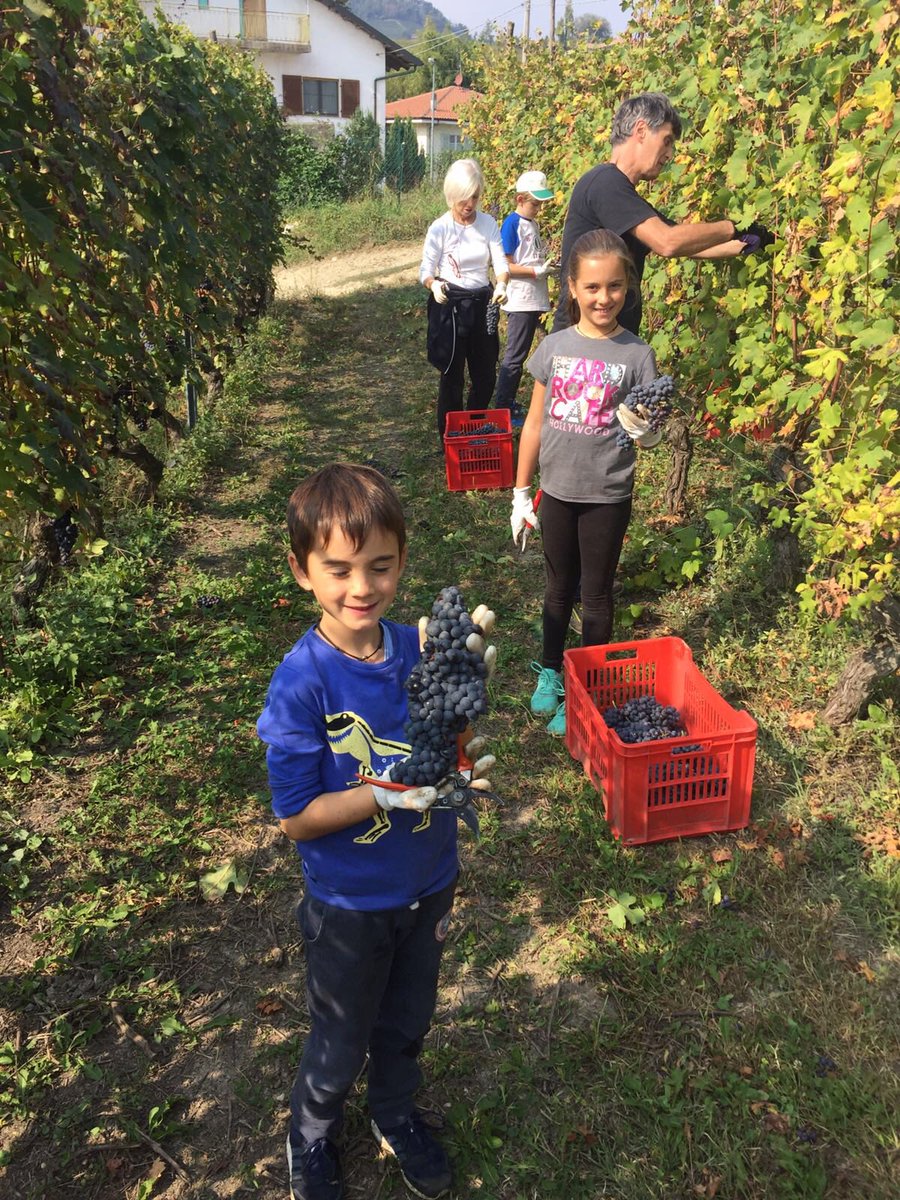 CorteGondina's tweet photo. @lonelyplanet_it #ScappoA #lamorra nelle #langhe dove è tempo di #vendemmia #barolo #nebbiolo 🍷#Cortegondina https://t.co/7d8o8ftDj6