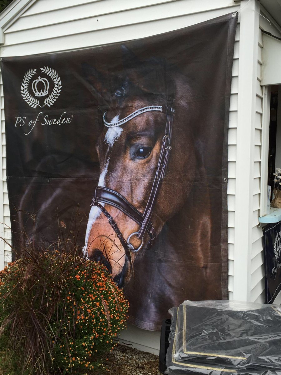 Will81381's tweet photo. a picture of mine was used at a horse show in Pa! And they blew it up big! 😳 just slightly excited #psofsweden I wish I was there to see it! https://t.co/gjGldqRNL9