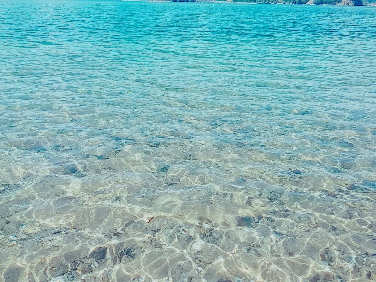 camera__flower's tweet photo. 海の水が透き通ってる��✨

#写真好きな人と繋がりたい 
#写真で伝えたい私の世界 
#海外好きな人RT 
#海水  #海 #空 https://t.co/FOwKUNKV9X