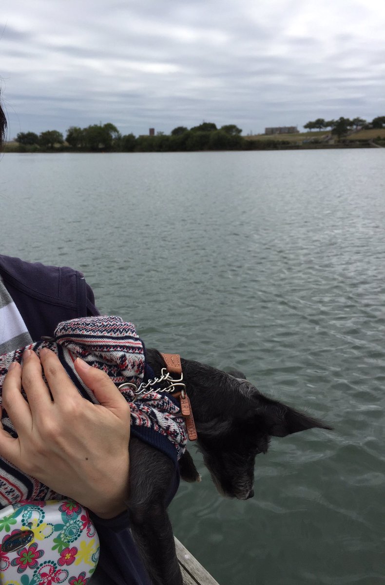 イタプー アル 矢切の渡し 看板犬のくまちゃん