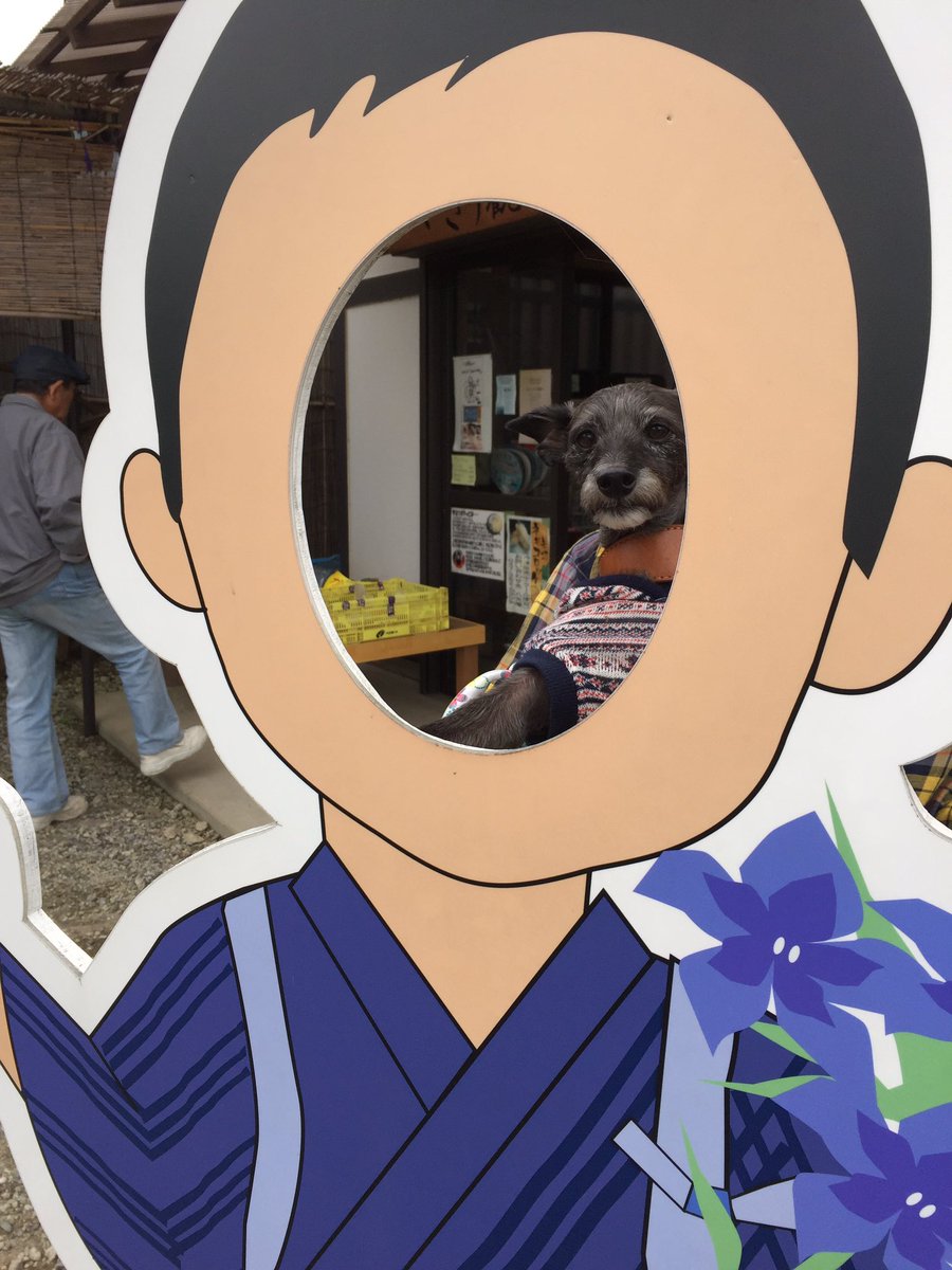 イタプー アル 矢切の渡し 看板犬のくまちゃん