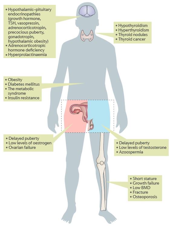 What are the Late endocrine effects of #childhood #cancer? Susan Rose and colleagues explain <a href="/NatureRevEndo/">Nature Reviews Endocrinology</a> rdcu.be/kOsr #tumour