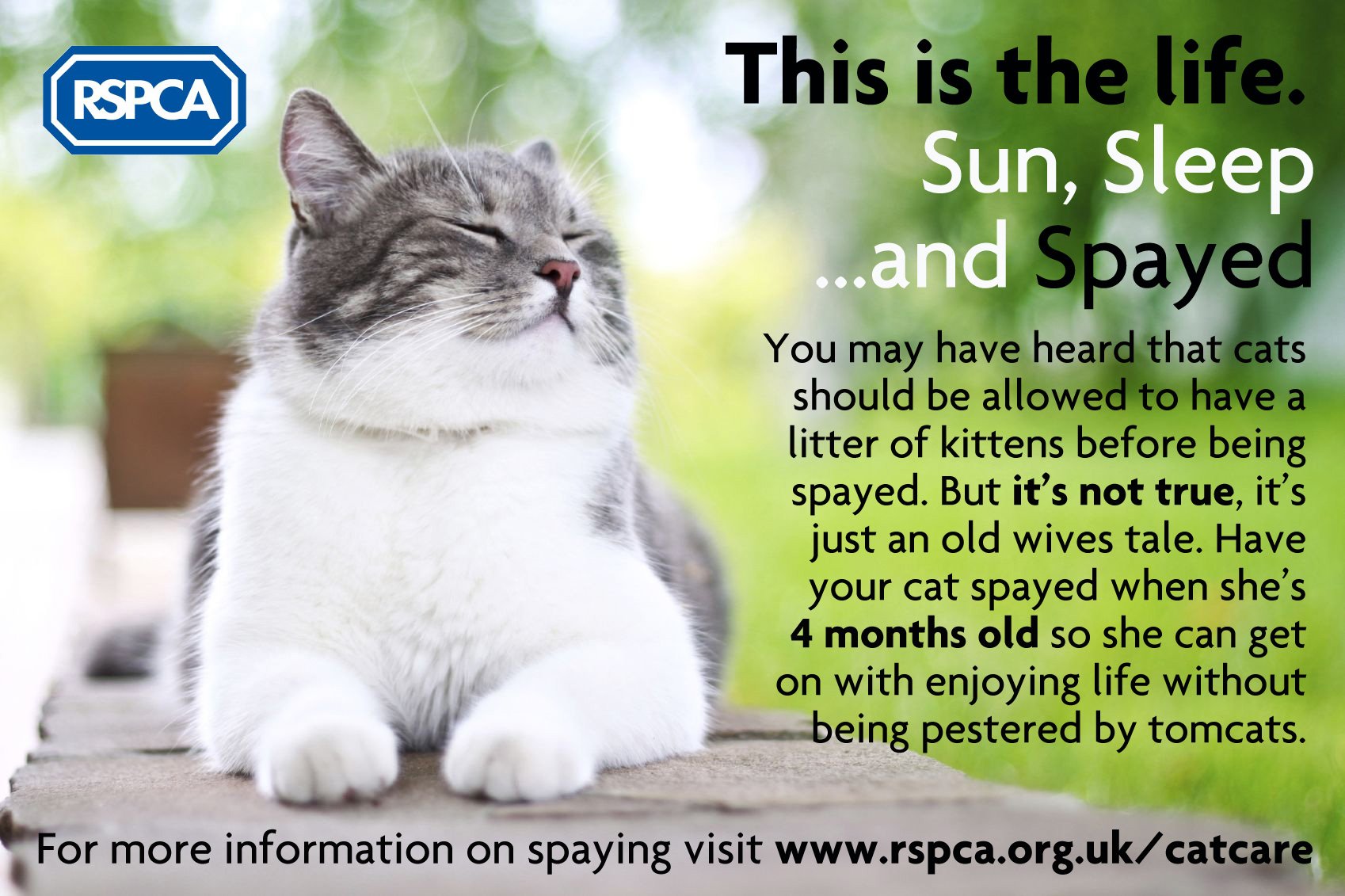 rspca spaying