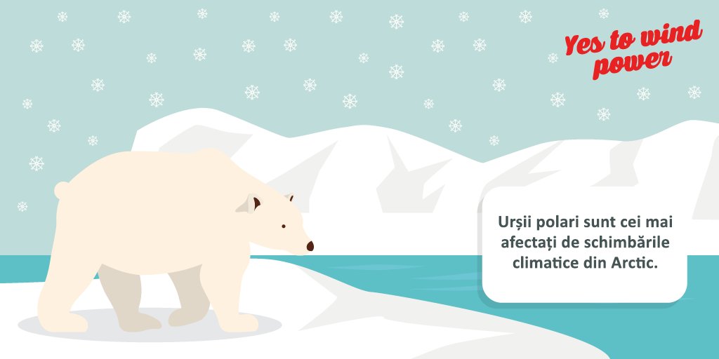 YesToWindPowerR's tweet image. Animalele polare suferă cel mai mult din cauza schimbărilor climatice din Arctic :(