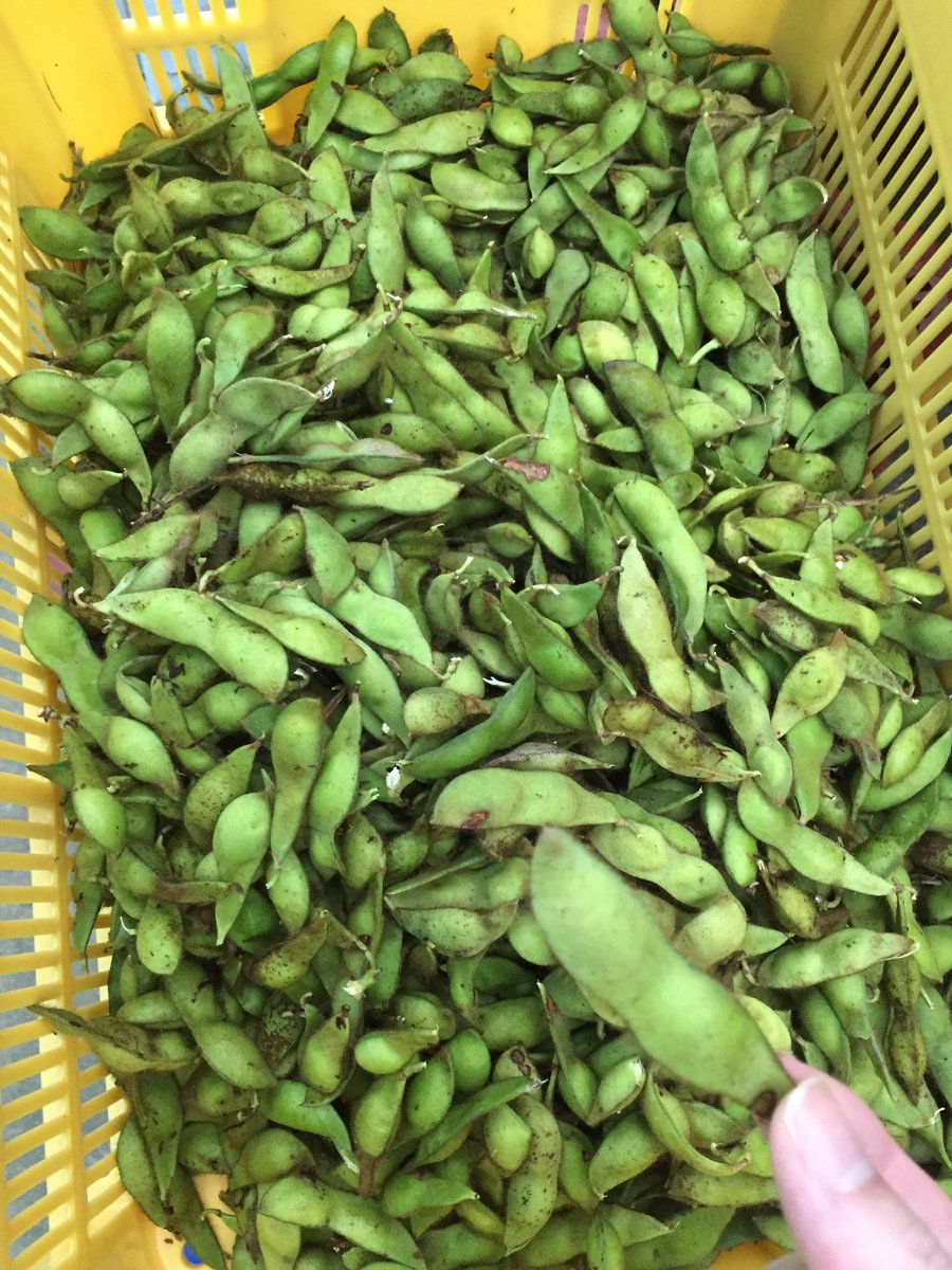 kounoske tweet media