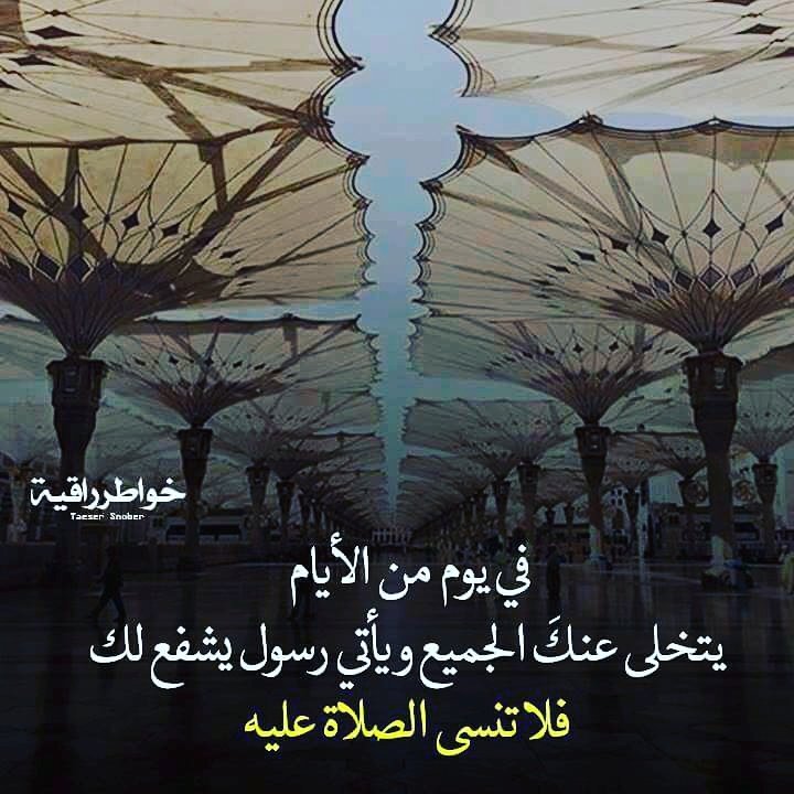 HamdShonatamimi's tweet photo. #السعودية_وطني_وهويتي https://t.co/MQU1KA8y4t