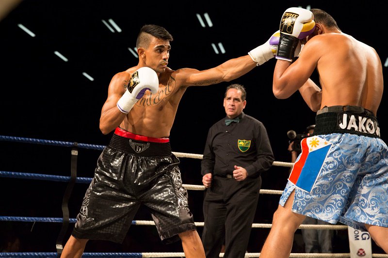 World Boxing News tweet media