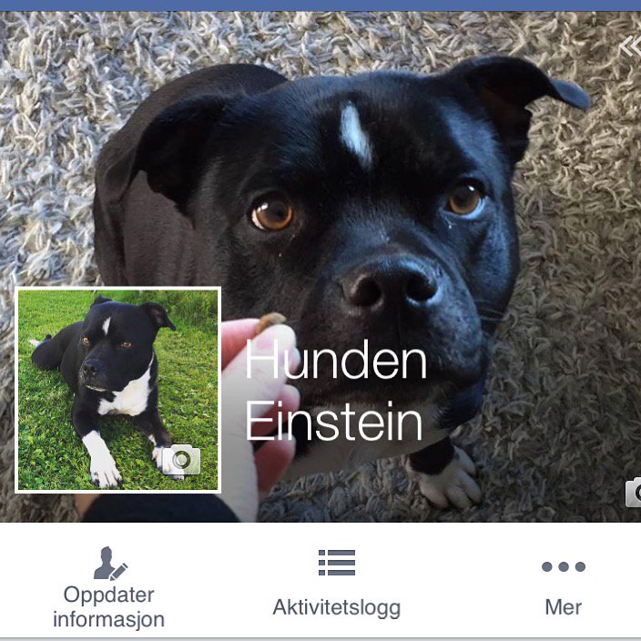 TvillingeneB's tweet image. Are you on Facebook? This is my page
#facebook #dogs #doglovers