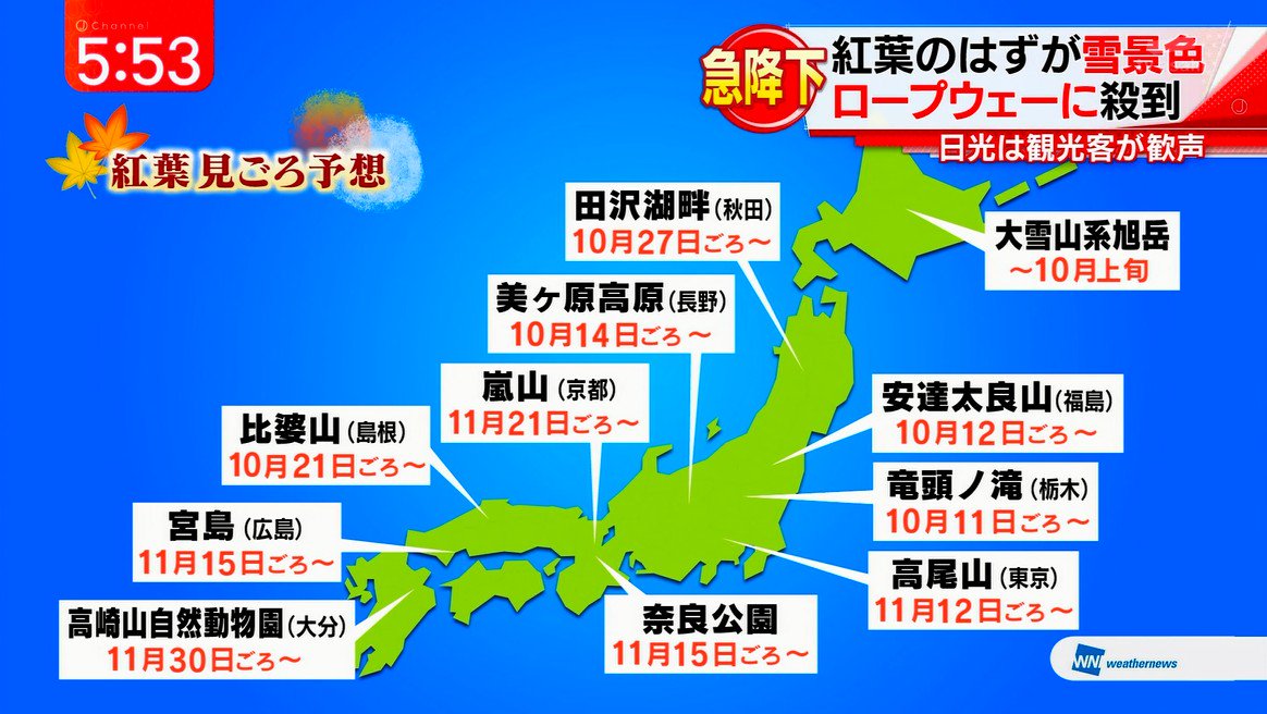 情報屋 Merrily News Twitter 情報屋 Merrily News Twitter