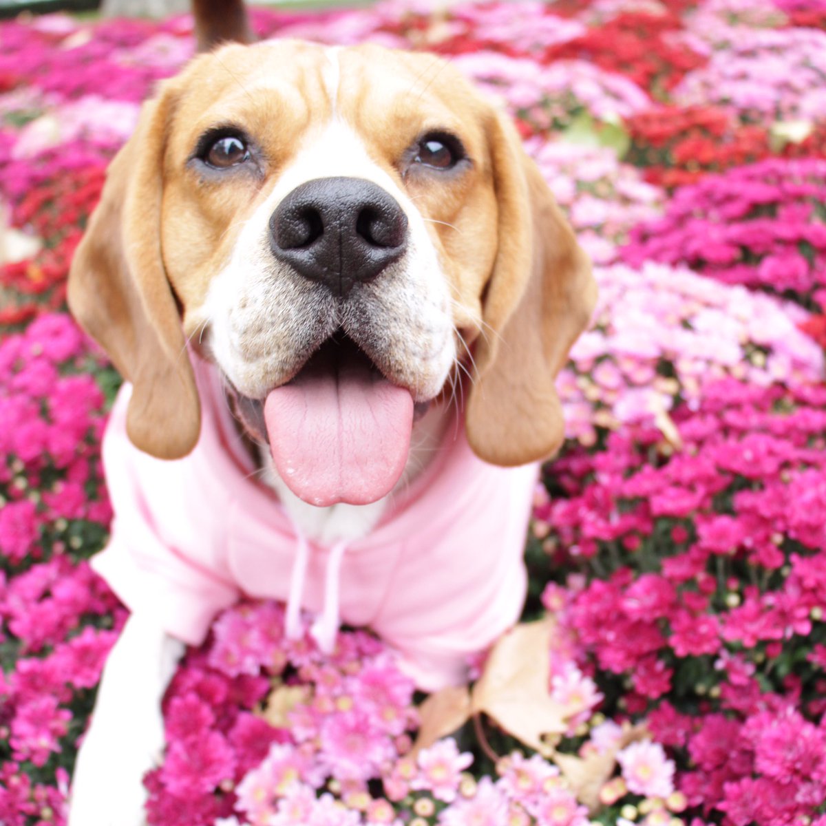Keep Calm and Think Pink in October ❤️ #OctobreRose #PinkOctober