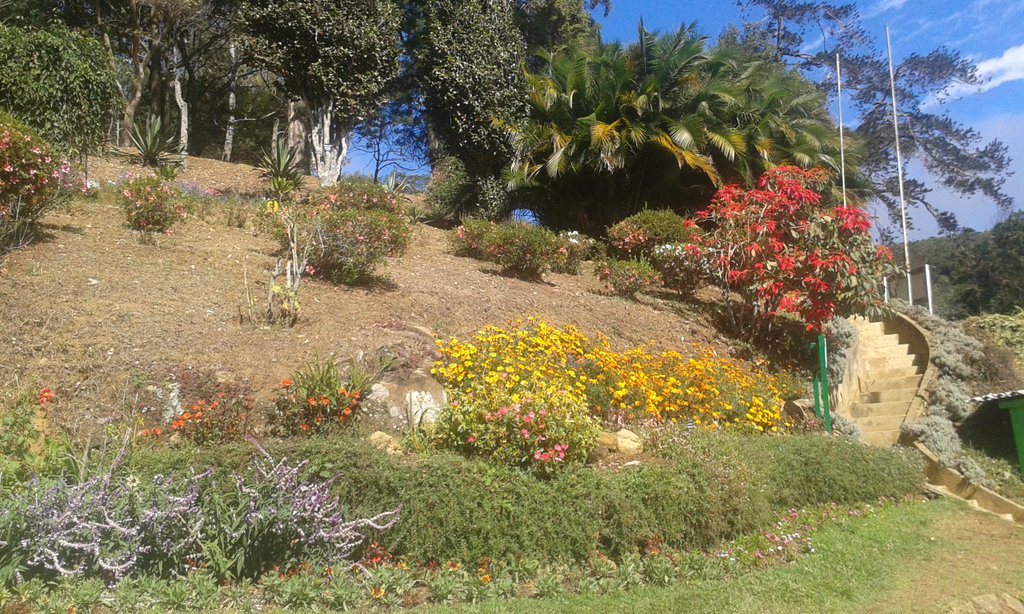 Lovly_Shailu's tweet image. Nuvaraliya 
#My_click