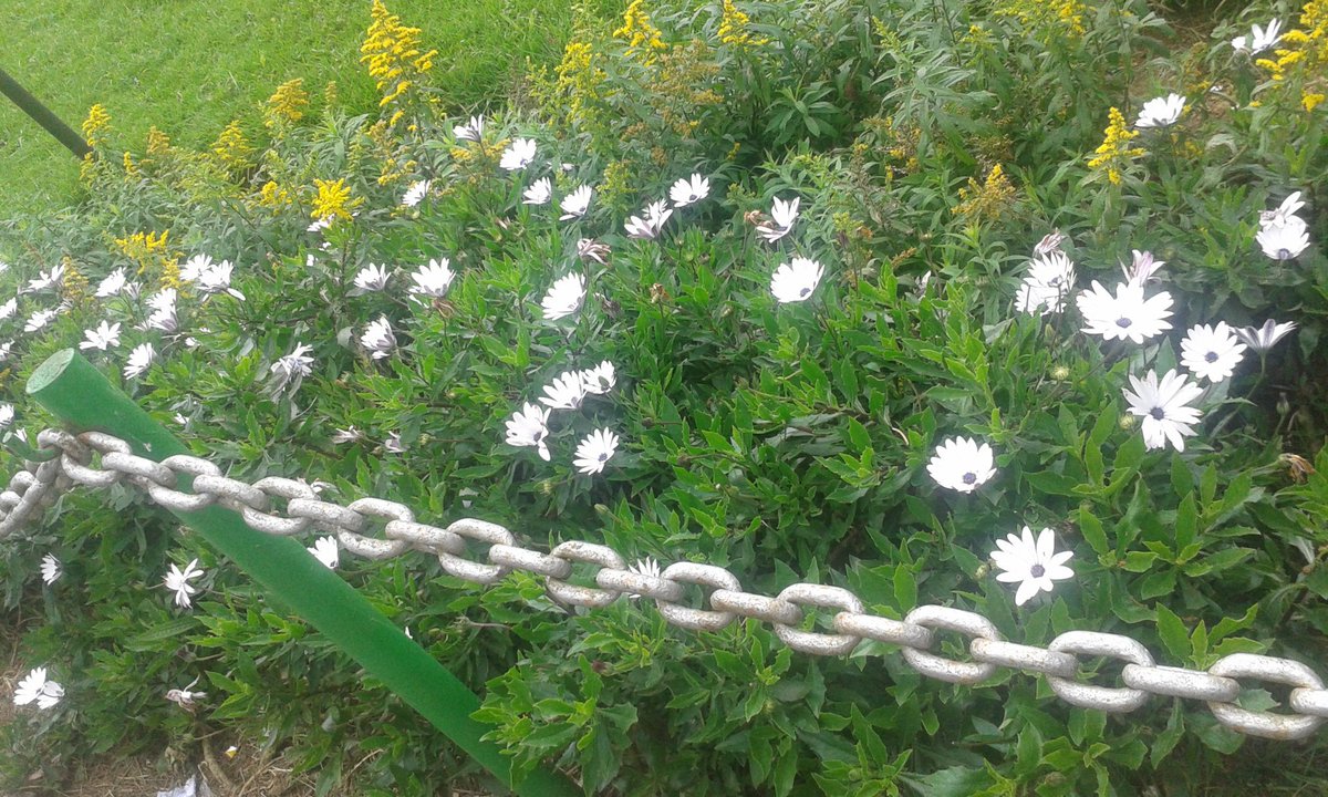 Lovly_Shailu's tweet image. Nuvaraliya 
#My_click