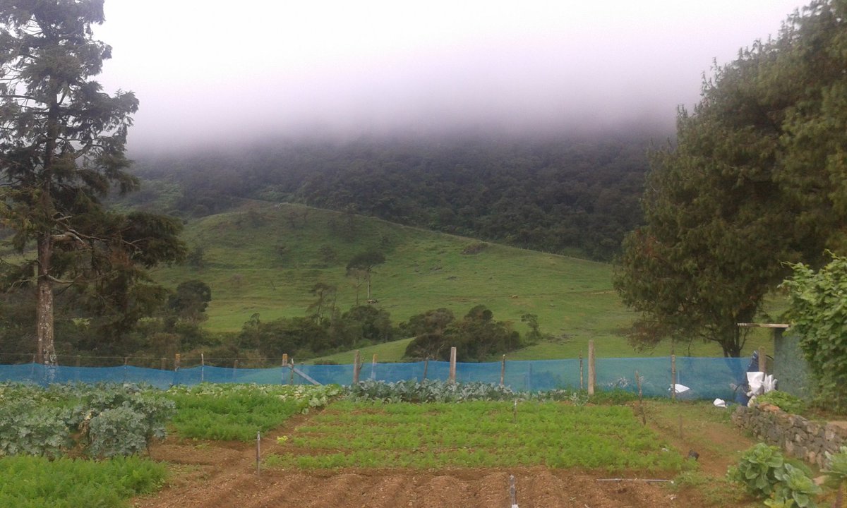 Lovly_Shailu's tweet image. Nuvaraliya 
#My_click