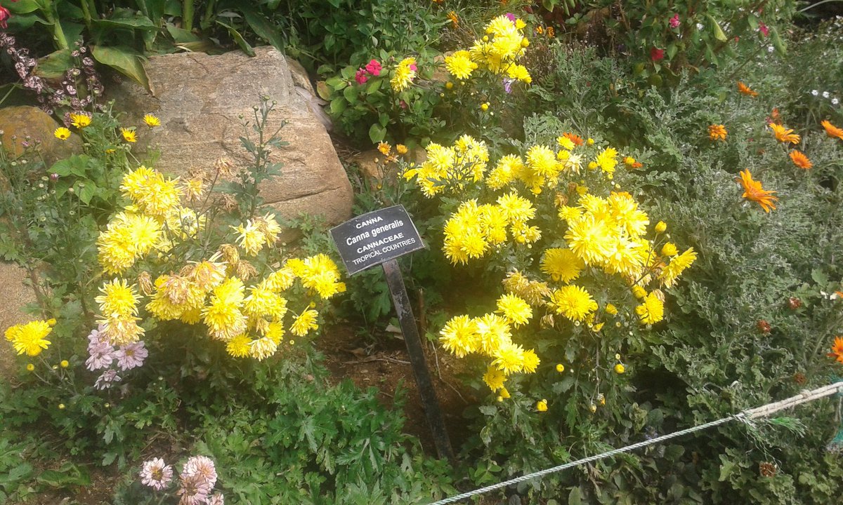 Lovly_Shailu's tweet image. Nuvaraliya 
#My_click