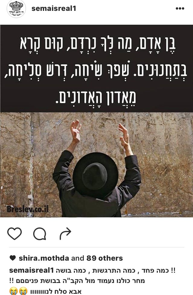 בר tweet media