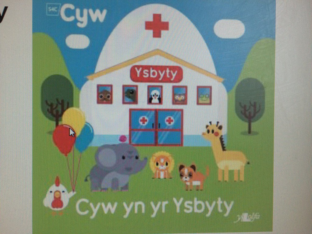 Newydd! Cyw yn yr Ysbyty <a href="/SiopDewinADoti/">Siop Dewin a Doti</a>