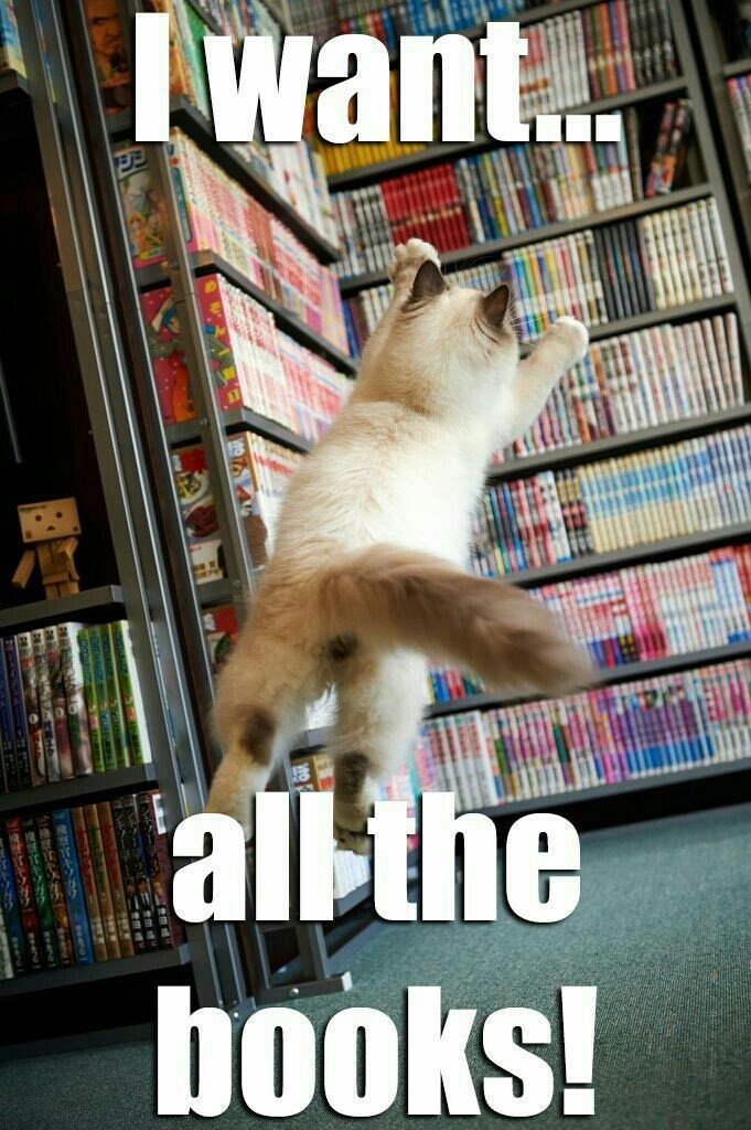RBWM_Libraries's tweet photo. This is more all day everyday at work!!! #iwantallthebooks #secretlifeofalibrarian #librarylife https://t.co/2amj7XDhjW