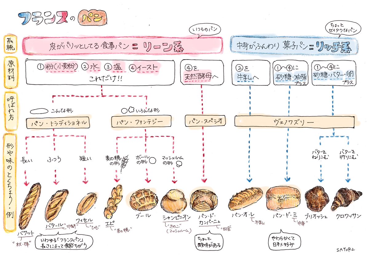 「フランスパンってやたら種類多いし名前ややこしいけど何がちがうんだ…」を気になって調べて、雰囲気でまとめてみました。
(※素人によるざっくりまとめであること、ご了承くださいませ!) 