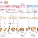 【保存版】フランスパンの種類多すぎ! ざっくりどんな種類があるのかまとめてみた。