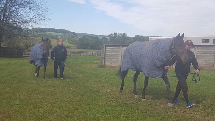 CharlieLongsdon's tweet photo. Sharp Rise and Marcus Foley settling in at Young Racing in Pennsylvania before his big day at Far Hills on Sat... https://t.co/w2865XWttO