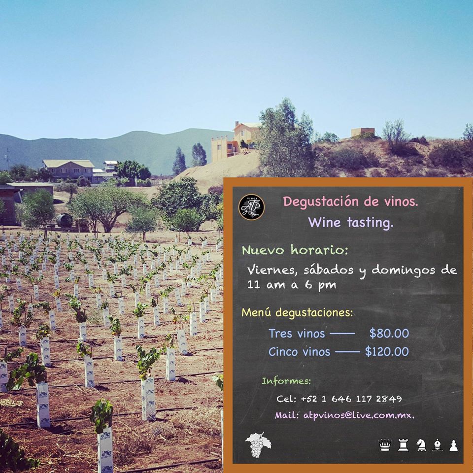 Los invitamos a las degustaciones de nuestros vinos: los viernes, sábados y domingos de todas las semanas. #VinoMexicano #Ensenada