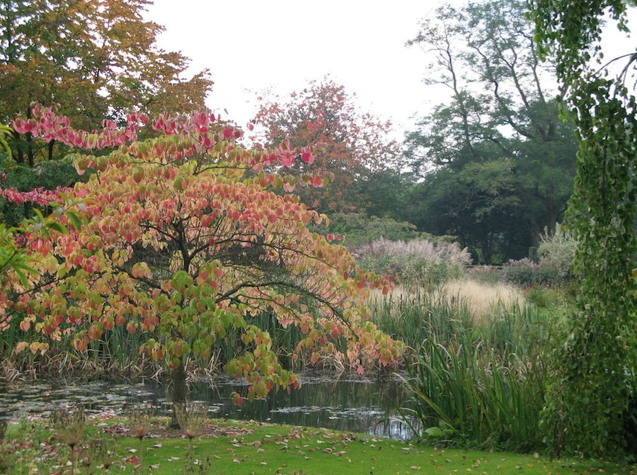 The_SGLD's tweet image. Tickets for our Autumn Conference 'Out of the Shrubbery' are selling fast! Discounted ‘early bird’ tickets only available until this Friday.