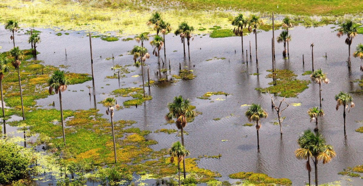 SeplanRoraima's tweet image. Parabéns #Amajari, #Cantá, #Pacaraima, #Rorainópolis e #Uiramutã, que completam 21 anos de fundação! Parabéns a população! #Roraima