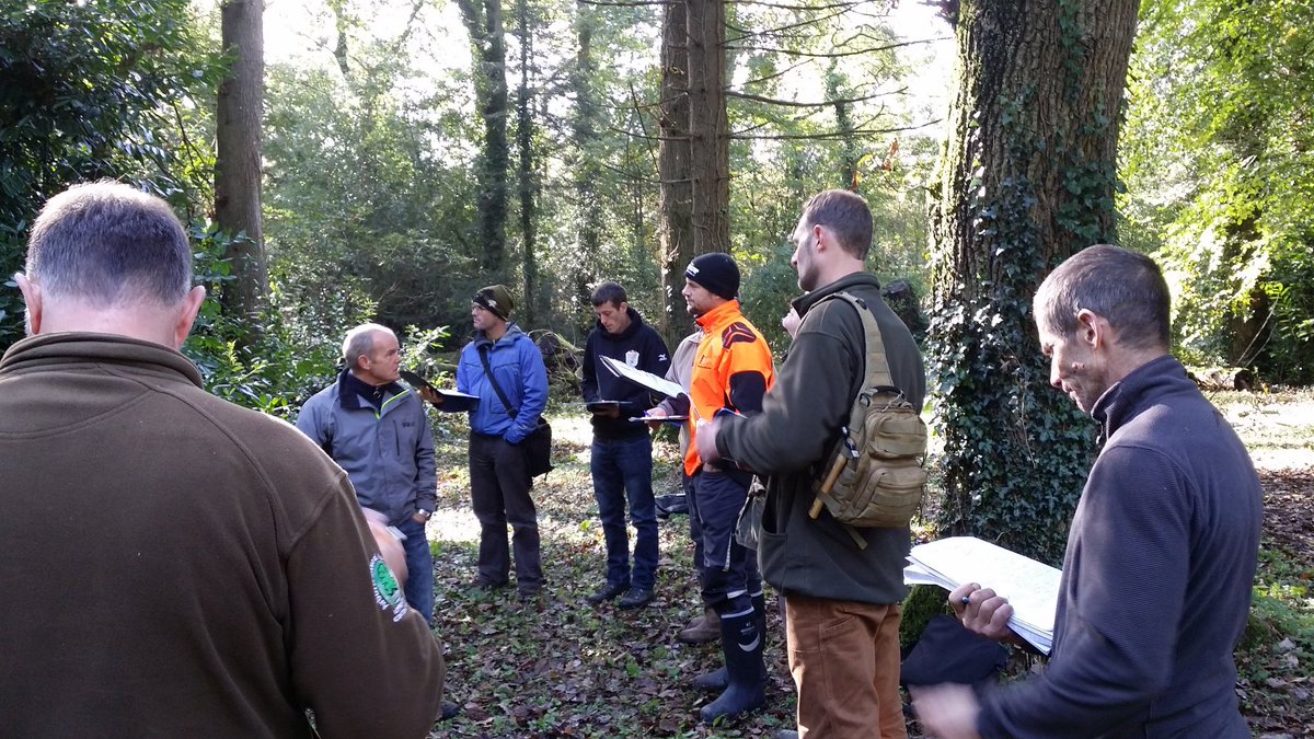 A great first day on the Introduction to Professional Tree Inspection at Picton Castle. Out assessing trees on site taking field notes.
