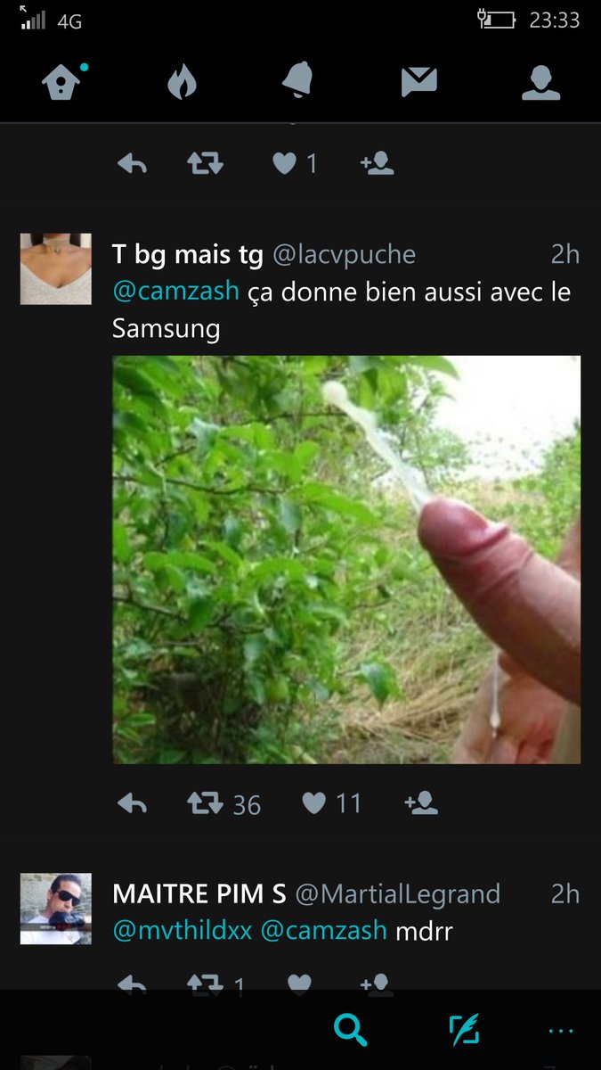 MegaToinou tweet media