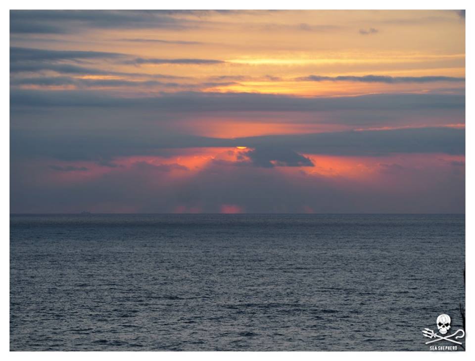 SeaShepherdPaul's tweet photo. #OpHenkaku Killing Boats go out to Kidnap  or Kill Dolphins #DontSupportCaptivity #Tweet4Taiji @SeaShepherd @CoveGuardians @SeaShepherdSSCS https://t.co/o2sXU6UxhD