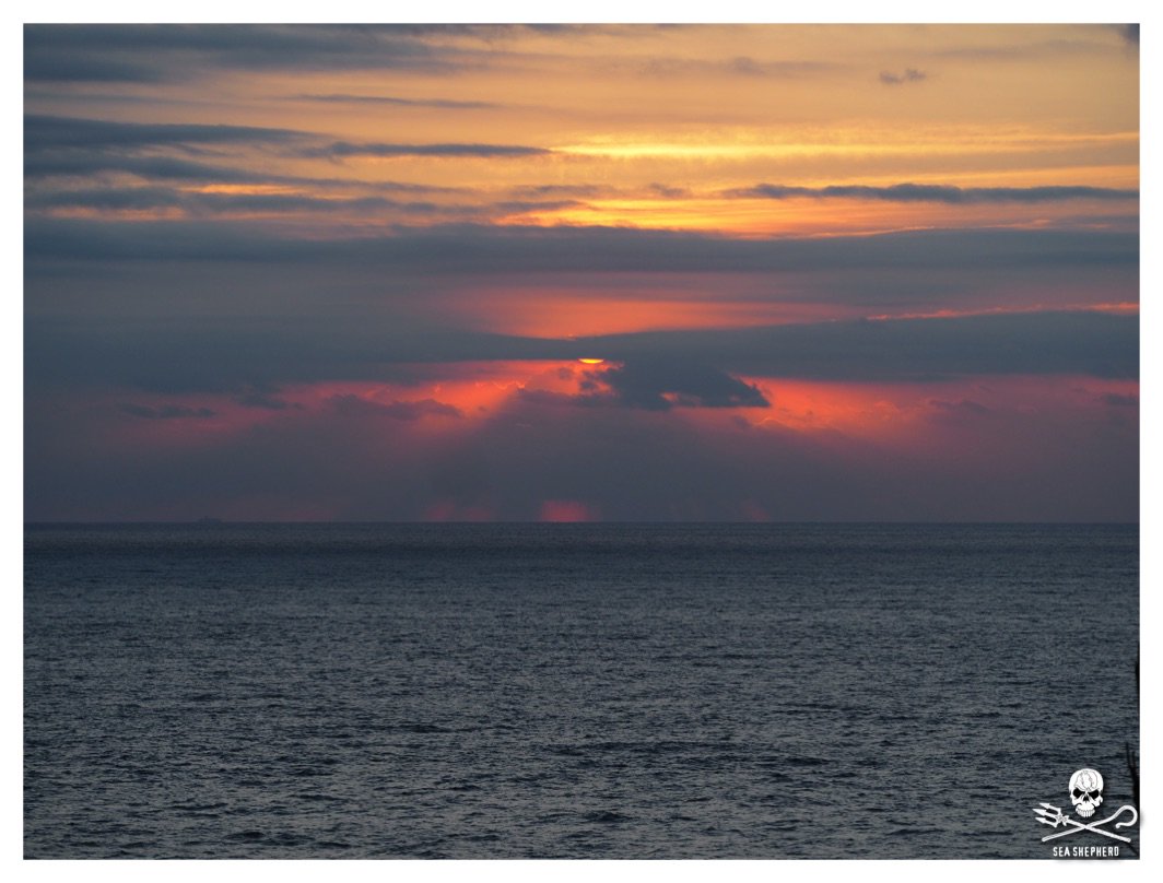 SeaShepherd404's tweet photo. @CaptPaulWatson 05:51 Unfortunately the Killer boats have gone out hunting!#tweet4taiji #seashepherdsscs #ophenkaku #coveguardians https://t.co/Ni3ghTCbPn