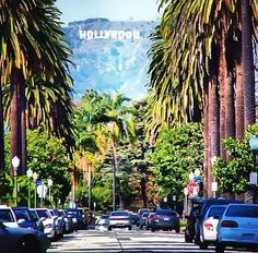 alex_soliant's tweet photo. Bilingual #Pharmacy Technician #job in #Hollywood https://t.co/ViOTKkK2lo https://t.co/5EpF41V2KA