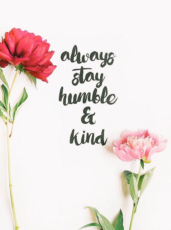 Wisdomiskey777's tweet photo. Through good times and bad times. It is what Lord has commanded us to do.🌺🙏🏾🌸 https://t.co/5WqOnhxZTh
