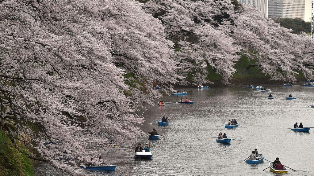 CNNTravel's tweet image. Total Tokyo: The ultimate locals&apos; guide cnn.it/2enWc8s