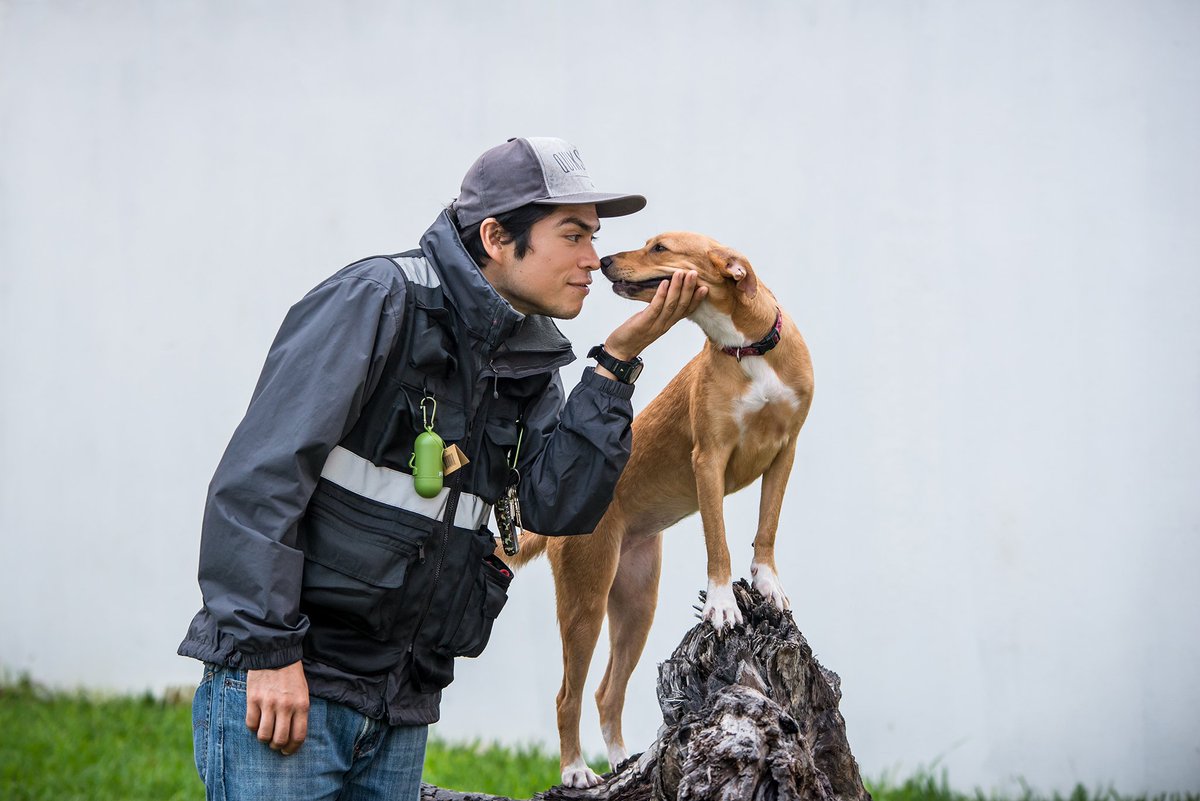 dogwalkershop's tweet photo. Make #DogWalking more enjoyable, hassle-free. #MultiplePockets,#Clips, #WaterBottlePockets,#ReflectiveStrips, #Sale. https://t.co/zYWmNZt5ao