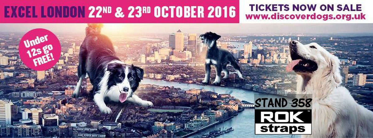 ROKStrapsEurope's tweet photo. We shall be exhibiting this weekend #DiscoverDogs come and visit us on stand 358 https://t.co/7603rf7Wsk